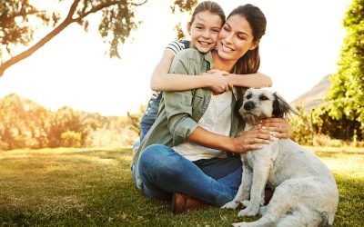 Canidays, le premier évènement sportif et de loisir pensé pour les chiens et leur famille