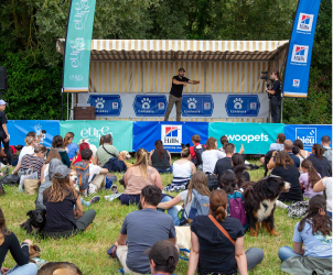 Évaluation générale du chien dans le quotidien