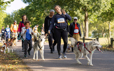 Comment préparer son chien à des évènements en extérieur ?