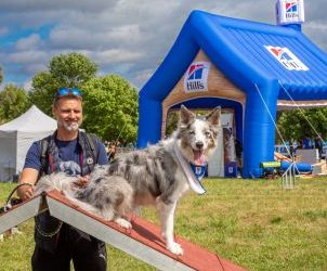 initiation au saut d’obstacles et tenue sur place