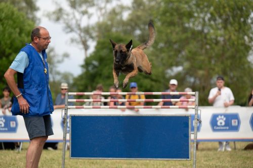 Presse-CDS-2025-05-07-25-Idb.photographie-WEB-10-min