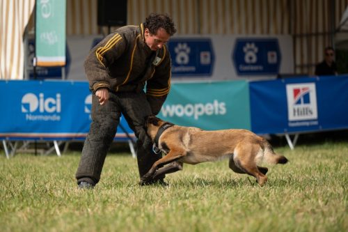 Presse-CDS-2025-05-07-25-Idb.photographie-WEB-14-min