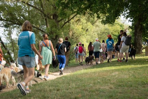 Presse-CDS-2025-05-07-25-Idb.photographie-WEB-15-min