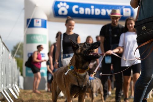 Presse-CDS-2025-05-07-25-Idb.photographie-WEB-21-min