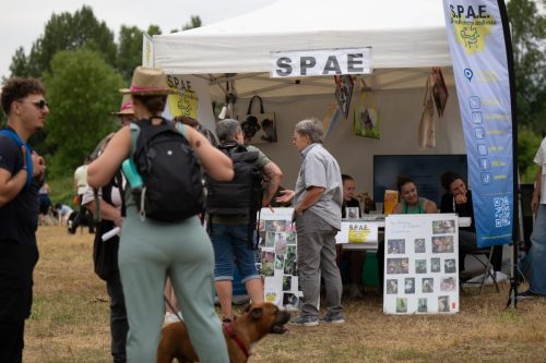 Presse-CDS-2025-05-07-25-Idb.photographie-WEB-3-min
