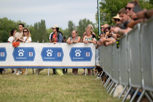 Presse-CDS-2025-05-07-25-Idb.photographie-WEB-8-min