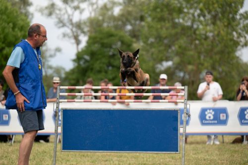 Presse-CDS-2025-05-07-25-Idb.photographie-WEB-9-min