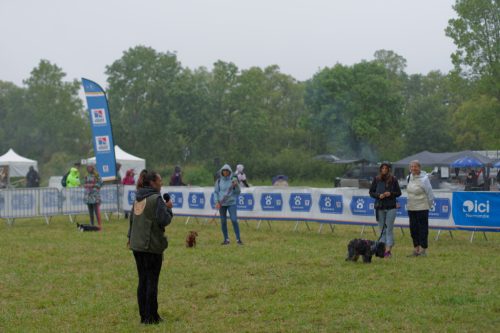 Presse-CDS-2025-06 07-Clemence-Leconte106 DxO